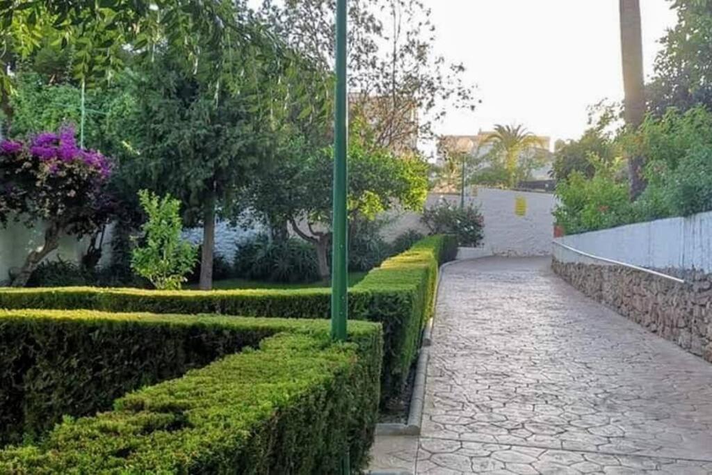 Apartament Beautiful Sea Views Cozy 350 M From *